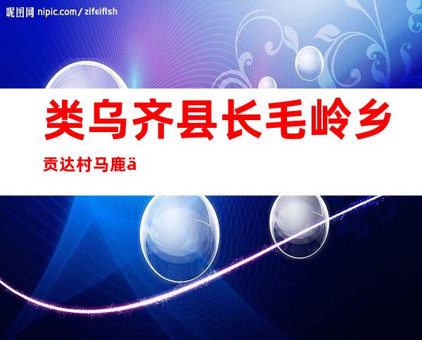 类乌齐县长毛岭乡贡达村马鹿之乡劳务有限公司